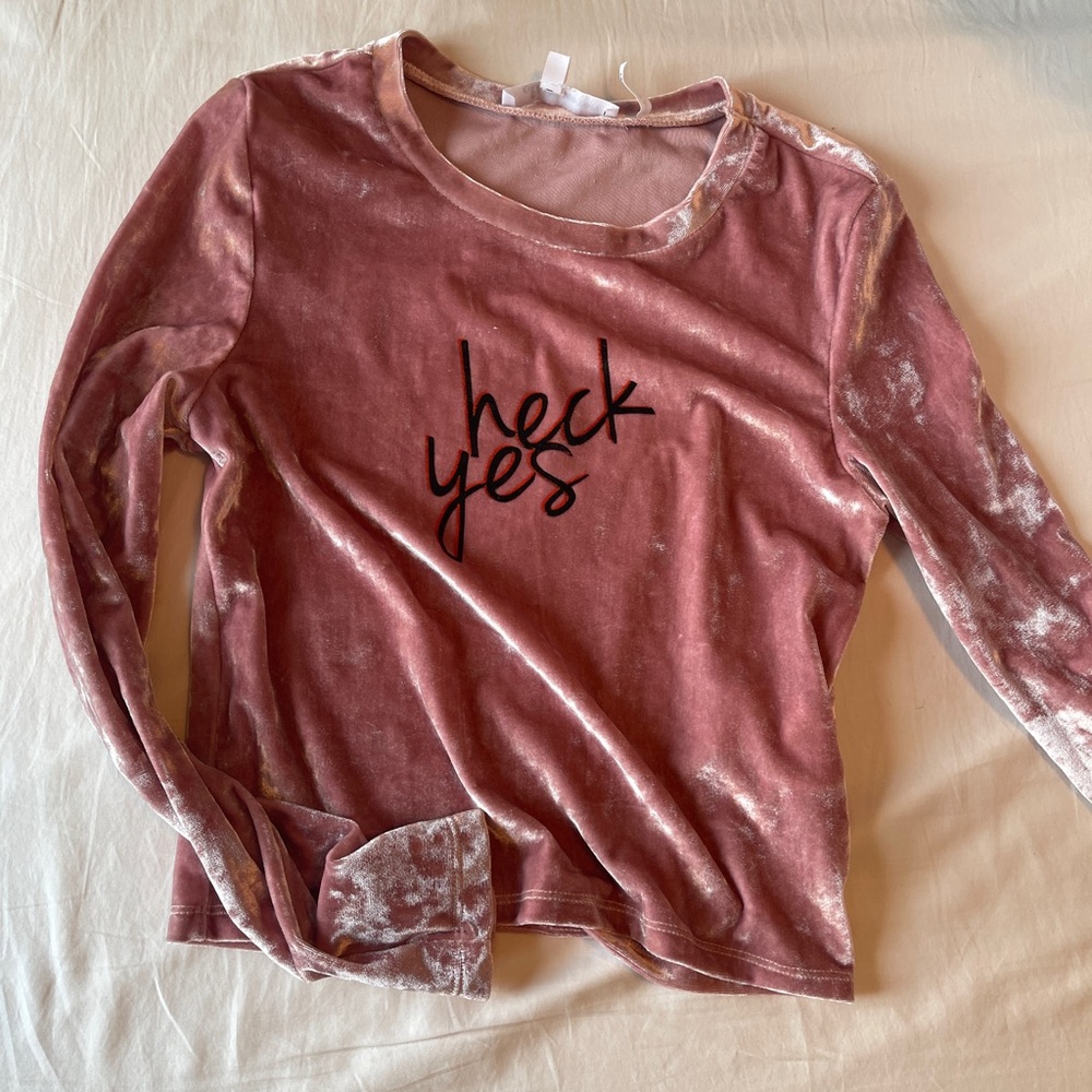 Pink Velvet Long Sleeve Cropped Top